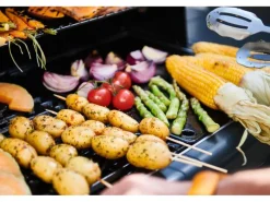 Campingaz Gasgrill Select 4 L Plus