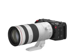 Canon Videokamera EOS C50