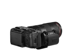 Canon Videokamera EOS C50