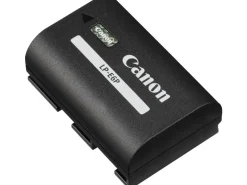 Canon Videokamera EOS C50 Kit LP-E6P, 512 GB CFE