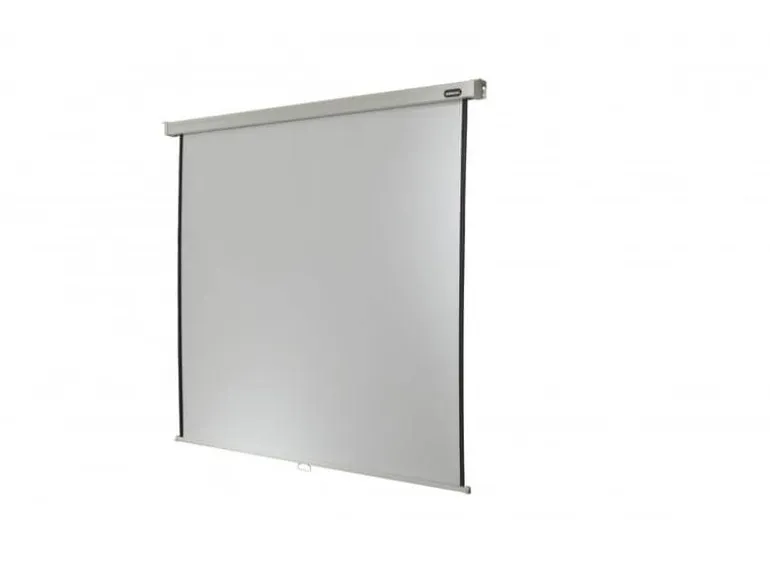 Celexon Rollo-Leinwand Professional Plus 240x240 cm 1:1