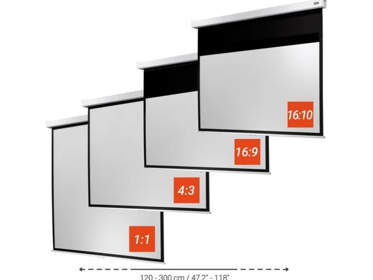Celexon Rollo-Leinwand Professional Plus 240x240 cm 1:1