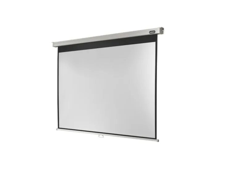Celexon Rollo-Leinwand Pro 220x165cm 4:3