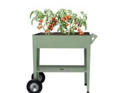 COCON Hochbeet mit Räder 85 x 50 x 80 cm, Mint