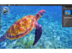 Corel Painter Essentials 8 ESD, Vollversion