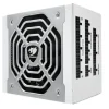 Cougar Polar X2 1050 1050 W