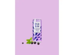 Dash Water Soft-Drinks Sparkling Blackcurrant 12 x 0.33 l