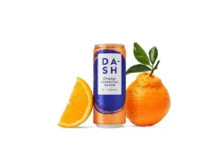Dash Water Soft-Drinks Sparkling Orange 12 x 0.33 l