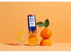 Dash Water Soft-Drinks Sparkling Orange 12 x 0.33 l