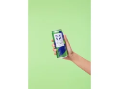 Dash Water Sparkling Lime 12 x 0.33 l