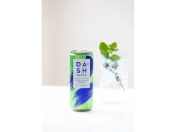 Dash Water Sparkling Lime 12 x 0.33 l