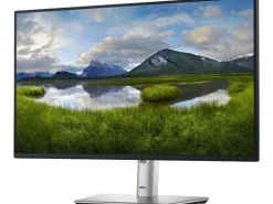 Dell Monitor P2425H 23.8 