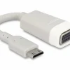 Delock Adapter Adapter Mini-HDMI (HDMI-C) - VGA