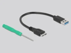 Delock Externes Gehäuse SuperSpeed USB für mSATA