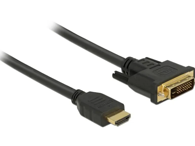Delock Kabel HDMI – DVI, 2 m, bidirektional