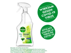 Dettol Desinfektion Hygiene-Reiniger Limetten- & Minze 750 ml