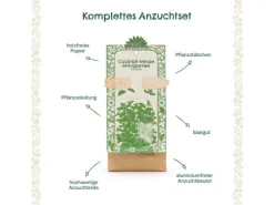 Die Stadtgärtner Anzuchtset Cocktail Minze