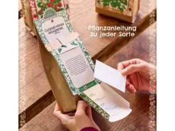 Die Stadtgärtner Anzuchtset Erdbeere