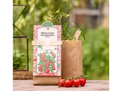 Die Stadtgärtner Anzuchtset Wildtomate