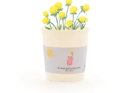 Die Stadtgärtner Blütengruss Gummibärenblume
