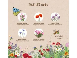 Die Stadtgärtner Blütenteppich Bienenwohl