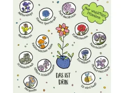 Die Stadtgärtner Blumenmurmeln 25 Stück