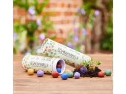 Die Stadtgärtner Blumenmurmeln 25 Stück