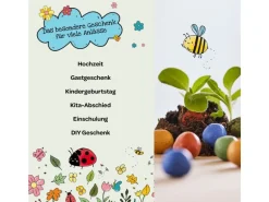 Die Stadtgärtner Blumenmurmeln 25 Stück
