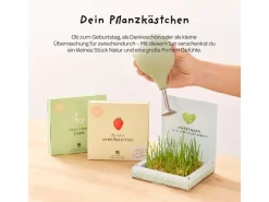 Die Stadtgärtner Pflanzenkästchen «HDGDL»