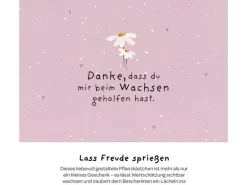 Die Stadtgärtner Pflanzenkästchen «Danke»