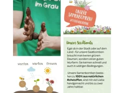Die Stadtgärtner Samenbomben Bienenwohl 3 Stück