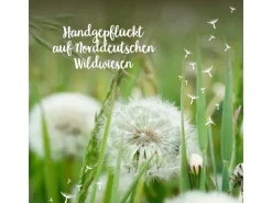 Die Stadtgärtner Wunscherfüller klein Pusteblume Natur