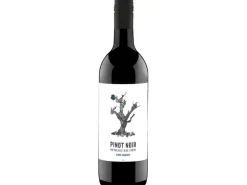Délival Vigne Ardente Pinot Noir