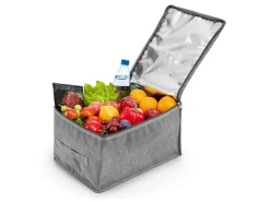 EASYmaxx Kühltasche 21 l grau