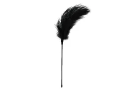 Easytoys Fetish Collection Feder Tickler schwarz