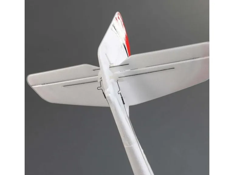 E-flite Motorsegler UMX Radian 730 mm BNF Basic
