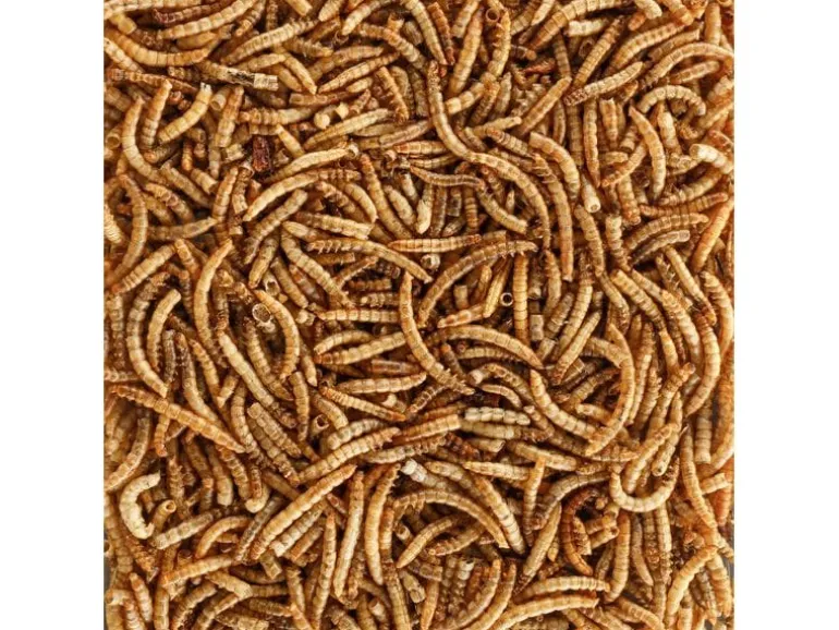 Eric Schweizer Vogelfutter Mehlwürmer, 1.8 kg