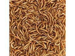 Eric Schweizer Vogelfutter Mehlwürmer, 250 g