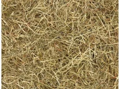 Eric Schweizer Wiesenheu, 1 kg