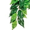 Exo Terra Regenwaldpflanze Fikus, S