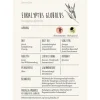Farfalla Ätherisches Öl Eukalyptus globulus bio Wildsammlung 10 ml