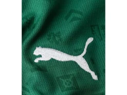FC St. Gallen Jersey Home 26/27 Grün, M