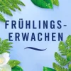 Febreze Bad Lufterfrischer Frühlingserwachen