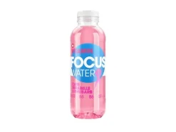 FOCUS WATER Care Mirabelle & Rhabarber 12 x 0.5 l