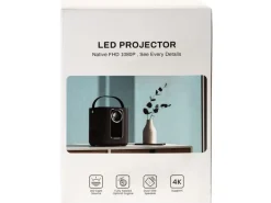 FTM Projektor Pro
