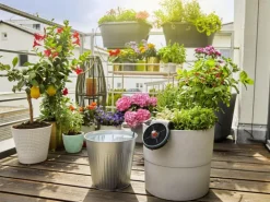 GARDENA Bewässerungs-Set AquaBloom