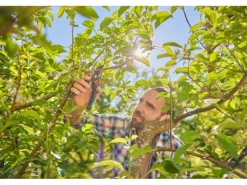 GARDENA Gartenschere PremiumCut pro flex