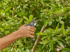 GARDENA Gartenschere PremiumCut Pro
