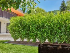 GARDENA Start-Set Tropfbewässerung Sträucher 25 m Micro-Drip-System