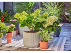 GARDENA Start-Set Tropfbewässerung für Terrassen Micro-Drip-System